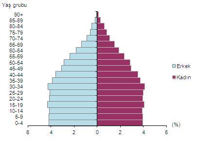 nüfus piramidi
