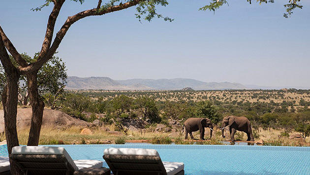 Four Seasons Serengeti Lodge, Tanzanya