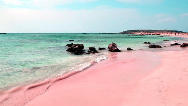 Pink Sands Beach-Bahamalar, Karayipler