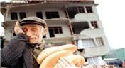 Deprem çok, sigorta yok