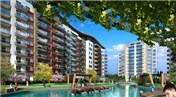 Liva İstanbul 124 bin lira