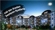 SİNPAŞ'IN 'LİVA'SINA YOĞUN İLGİ