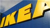 Şimdi IKEA'ya gitmek için onlarca neden var!