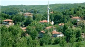 Manisa Sarıgöl'de icradan satılık 19 gayrimenkul!