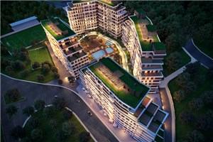 Plusera City Plusera City