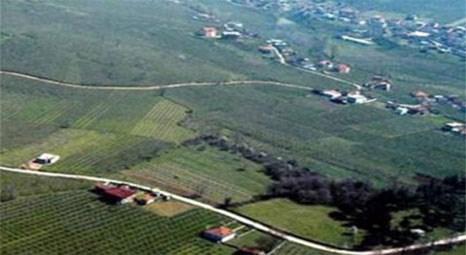 İstanbul'da 75 bin yeni 2B arazisi talana açıldı