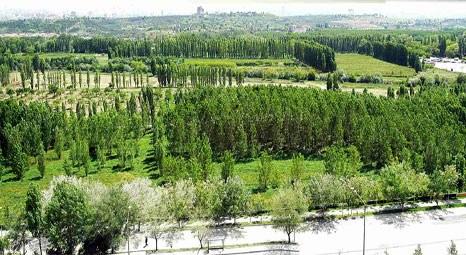 Yenimahalle'deki taşınmazlar satılıyor