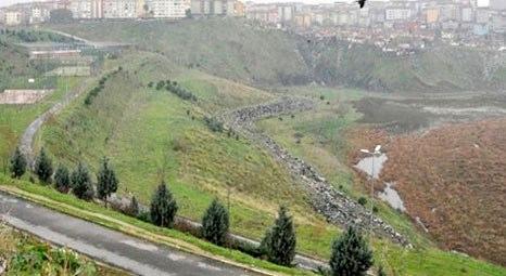 Türkiye bıngıldak toprak üstünde