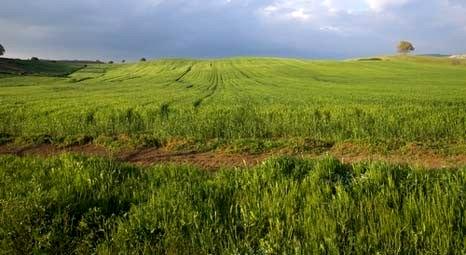 Eskidji 133 arsayı satışa çıkardı