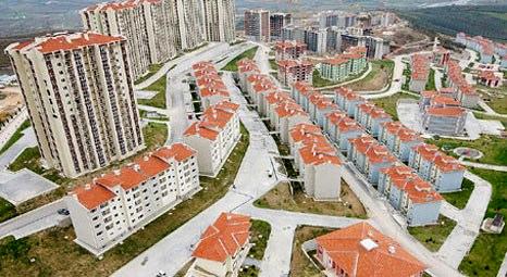 İranlılar bu Kuzu'yu çok sevdi