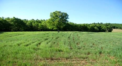 5 yıl vadeyle 2B arazisi