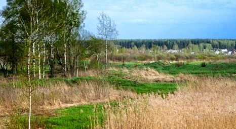 Peki, en fazla 2-B arazisi hangi şehirde!