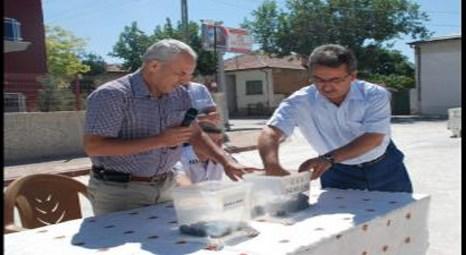 Ak-saray Konutlarında Kura Çekimi