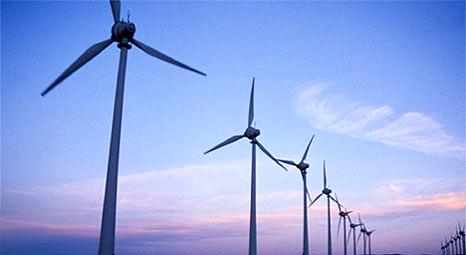 Rüzgâr enerji ihaleleri rekorla tamamlandı