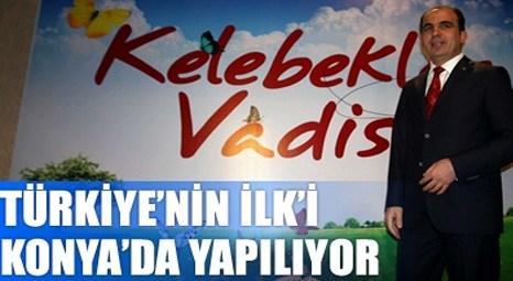 Türkiye'nin ilk Kelebekler Vadisi Konya'da yapılıyor!