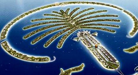 Serdar İnan'dan Palmiye Adası projesi!