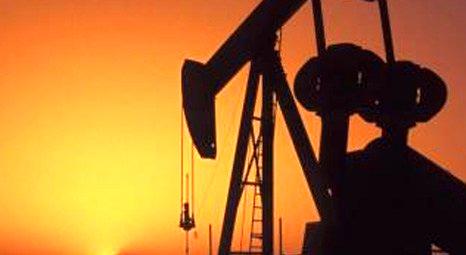 Çukurova Holding Kuzey Irak'ta petrol arayacak!