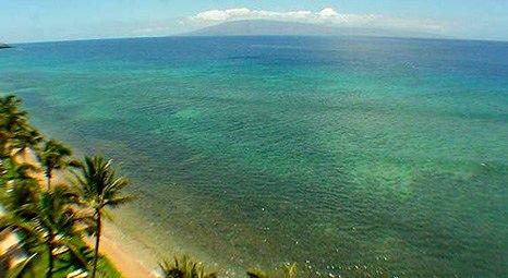 Larry Ellison Hawaii Lanai Adası’nı satın alıyor!