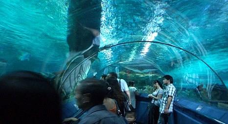 Pekin'deki Beijing Aquarium turistleri kente çekiyor!