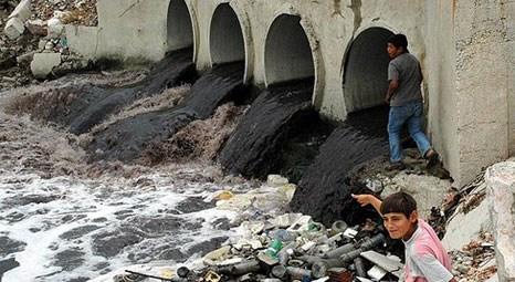 Ergene Nehri'nde canlılar kirlilikten olumsuz etkileniyor!