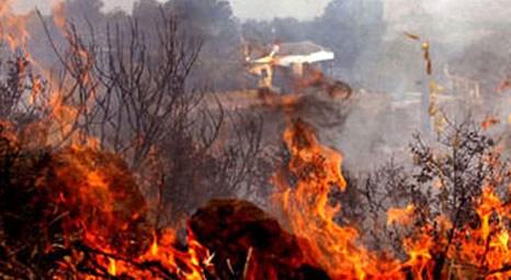 Valencia'da çıkan yangında 50 bin hektar orman yandı!