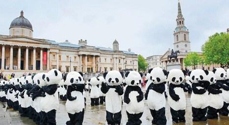 Londra sokaklarını Chengdu Panda Merkezi'nin üyeleri işgal etti!