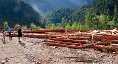 Mersin Cehennemdere'deki ağaçlar HES yapımı için kesildi!