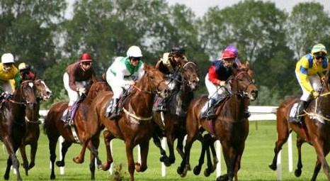 TJK, Bursa Hipodromu’nda ahır yenileme işini ihaleye çıkardı!