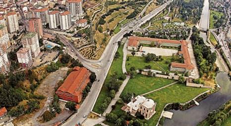 İstanbul Kağıthane Deresi’nde deniz akıyor, balıklar yüzüyor!