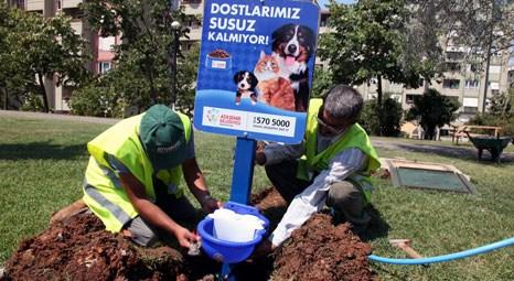 Ataşehir Belediyesi parklara hayvanlar için otomatik su kabı koyuyor!