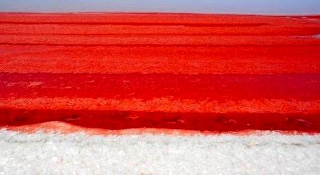Tuz Gölü’nün kızıl renge bürünmesinin nedeni belli oldu!