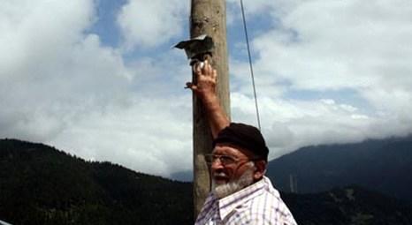 Rize’de elektrik boşa gitmesin diye sokak lambaları kapatılıyor!