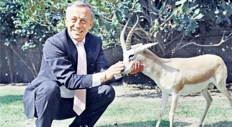 Ali Ağaoğlu, İstanbul’daki ofisinin bahçesinde ceylan, Bodrum’da ise horoz besliyor!