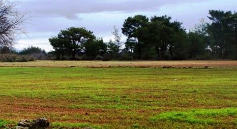 Ege Bölgesi’nde tarla fiyatları 2 yılda yüzde 100 arttı!