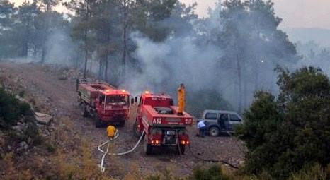 Bodrum orman yangınları ile sonunu hazırlıyor!