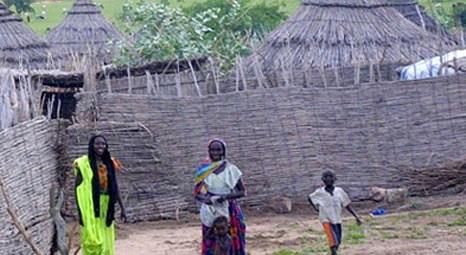 Çad'da insanlar kamış evlerde yaşamaya devam ediyorlar!