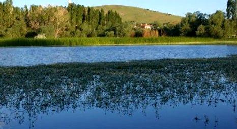 Kırşehir’deki Seyfe Gölü’nde sular küresel ısınma sebebiyle 500 metre çekildi!