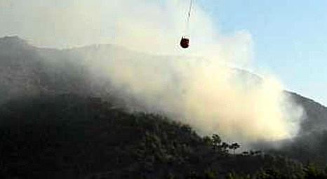 Muğla Milas’taki Kırcağız köyünde 4 bin metrekare ormanlık alan yandı!