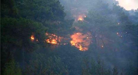 Muğla’nın Datça ilçesinde 70 hektar ormanlık alan yandı!
