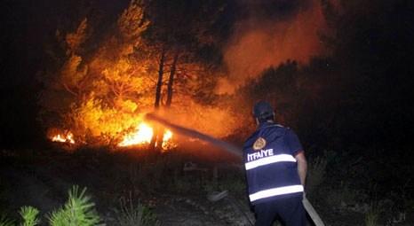Kazdağları'ndaki yangında 500 hektarlık bir alan kül oldu!