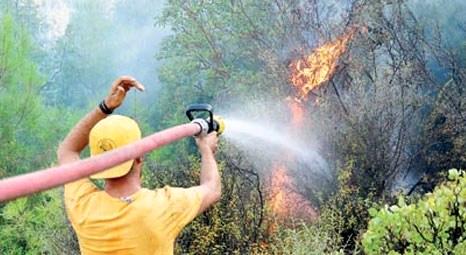 Datça'da çıkan orman yangınında yaklaşık 3 hektarlık alan zarar gördü!