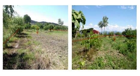 Darüşşafaka Cemiyeti, Çanakkale Gelibolu'daki meyve bahçesini yeniden satışa çıkardı!
