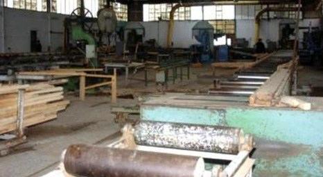 Düzce'de Abant Kereste Fabrikası icradan satışa çıktı! 2 milyon liraya!