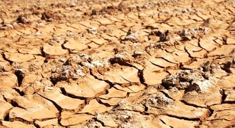 Gıda, Tarım ve Hayvancılık Bakanlığı, tuzlanan arazileri yeniden tarıma kazandıracak!
