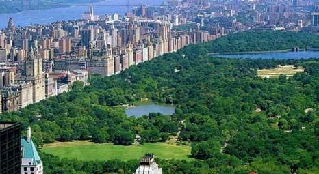 ABD'li milyarder John Paulson, Central Park için 100 milyon dolar bağışlayacak!