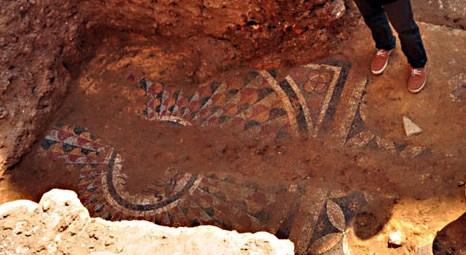 Muğla Milas’ta inşaat yapımı sırasında Roma dönemine ait mozaikler ortaya çıktı!