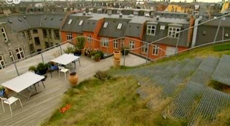 Mimar Jesper Sindberg, Kopenhag’ta üç çatı katı dairesinin üstüne bahçe inşa etti!