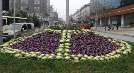 Bağcılar Belediyesi, kışa uygun 500 bin farklı çiçek dikti!