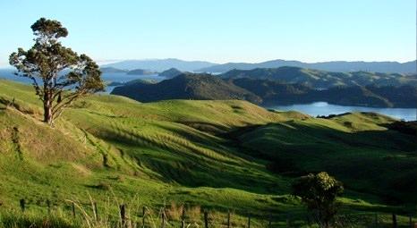 2B arazilerinin satışına ilişkin yeni düzenleme bu hafta TBMM'de ele alınacak!
