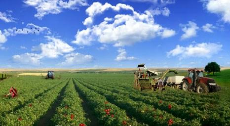 Harranova'nın Şanlıurfa'daki besi çiftliği Namet'e 15.5 milyon liraya satıldı!